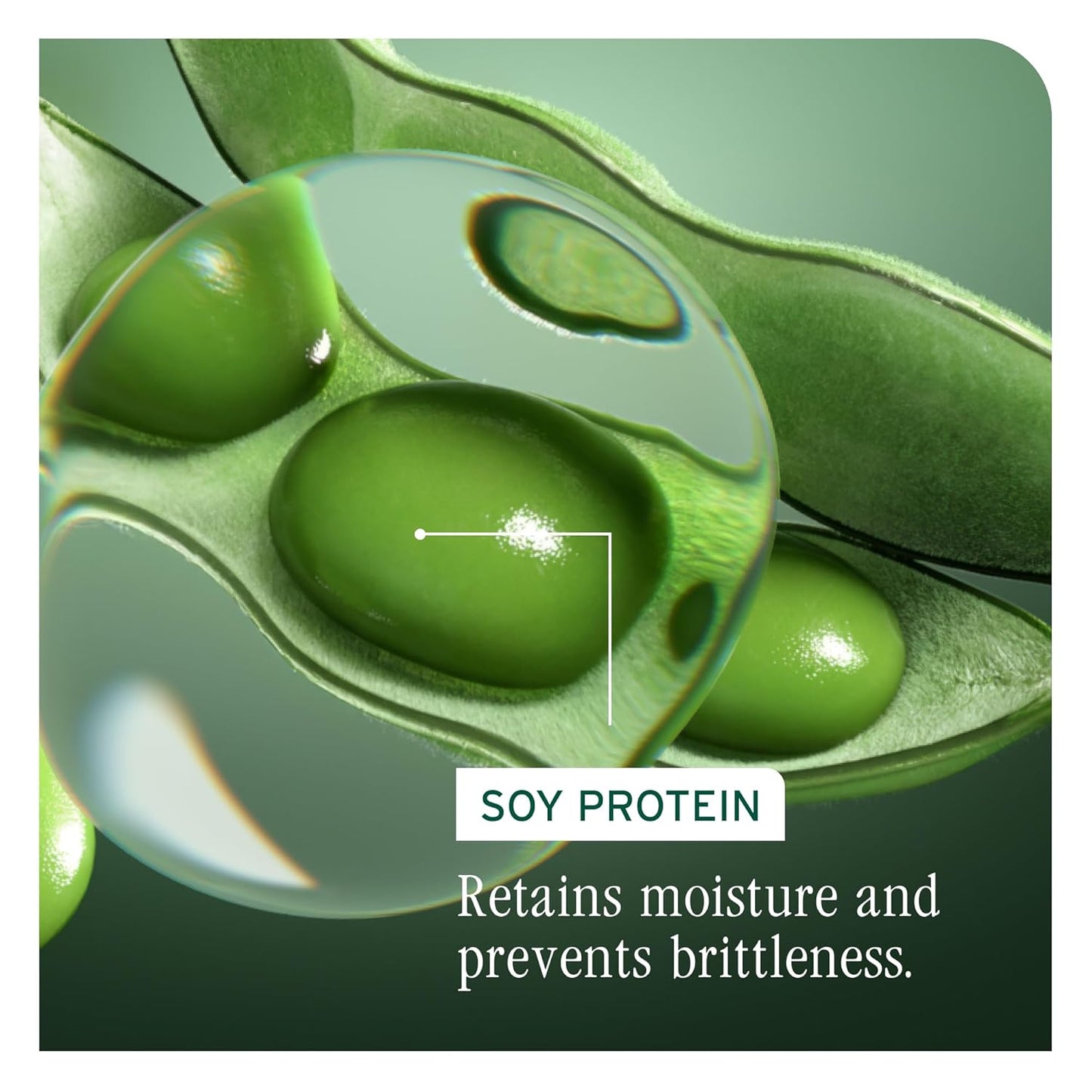 Biolage VOLUME BLOOM SHAMPOO