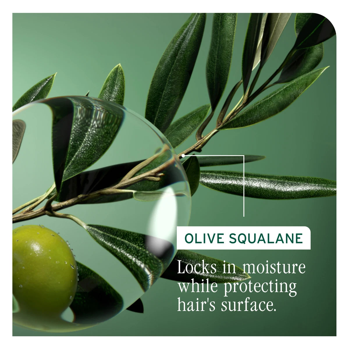 Biolage STRENGHT RECOVERY SHAMPOO